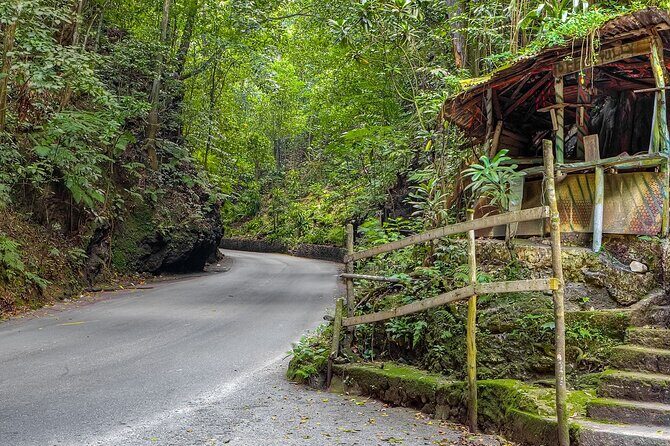 Private Sightseeing Tour in & Around Ocho Rios - What’s Included (And What You’ll Need to Budget For)