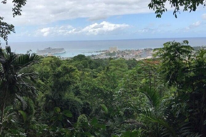 Private Sightseeing Tour in & Around Ocho Rios - Botanical Garden Vicinity: Medicinal Plants, Spices, and a Famous Neighbor