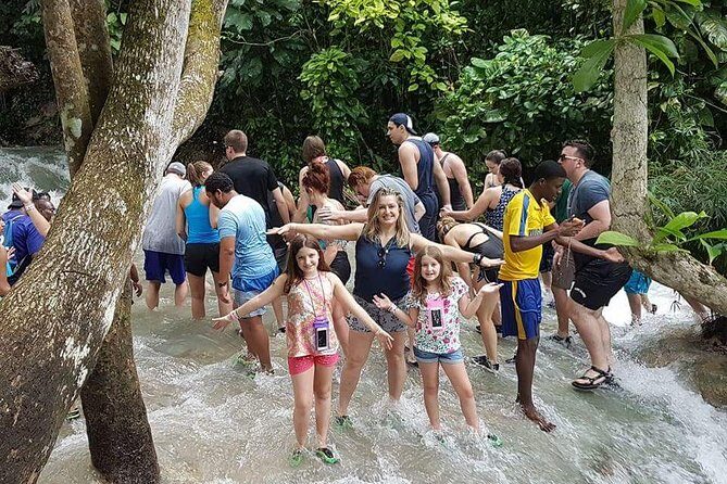 Private Tour - Dunn's River Falls and Ocho Rios Experience from Ocho Rios - Fern Gully: the easy rainforest stop with ferns, history, and quick payoff