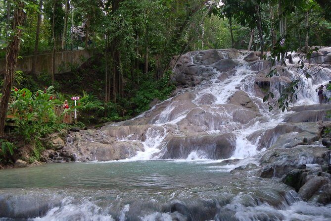 Private Tour From Ocho Rios To Dunn's River Falls - Climb the Falls, Then Swim the Pools (That Is the Point)