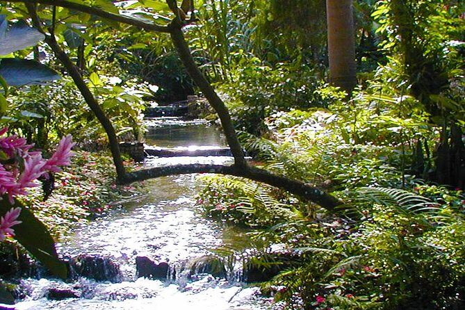 Private Tour From Ocho Rios To Konoko Falls And Garden and Shopping - Key things I’d circle before you go