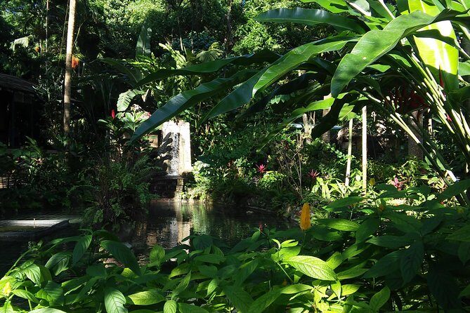 Private Tour From Ocho Rios To Konoko Falls And Garden and Shopping - How the pickup and drop-off protects your schedule