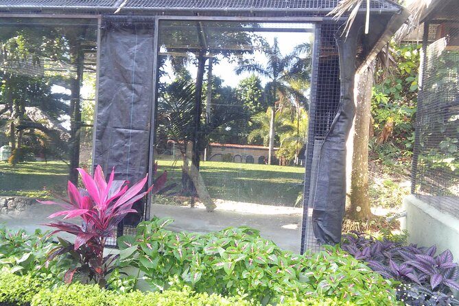 Private Tour From Ocho Rios To Konoko Falls And Garden and Shopping - Shopping time that feels optional, not forced