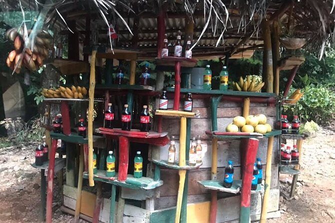 Private Tour of Bob Marley House from Ocho Rios - Who this tour suits best (and who should think twice)