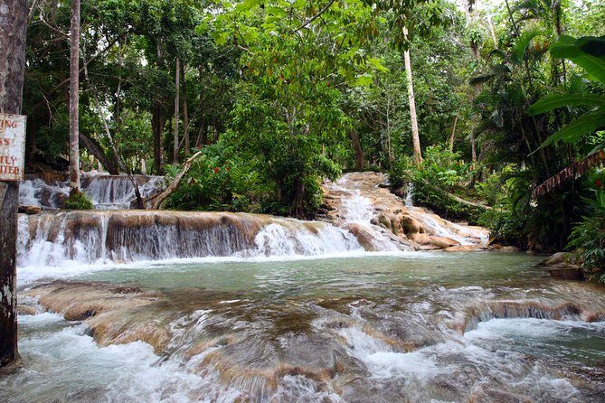 Private Tour to Dunn's River Falls From Ocho Rios - Quick reasons this private Dunn’s River tour is worth your time