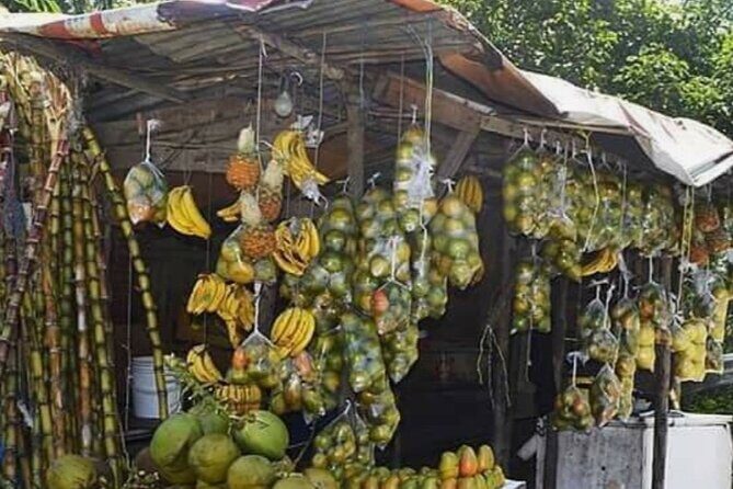 Sightseeing Tour in Ocho Rios - Pickup, Mobile Tickets, And Why Confirmation Pays Off
