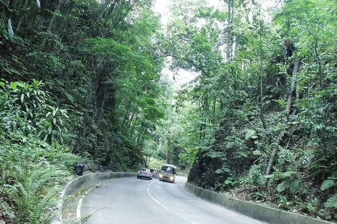 Taste of Jamaica Farm Cookout - The ride out of Ocho Rios: Fern Gully and real village life