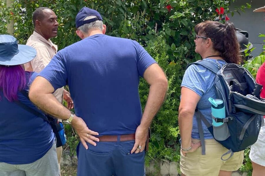 Taste of Jamaica Farm & Food Tour - Key Things That Make This Tour Worth Your Time