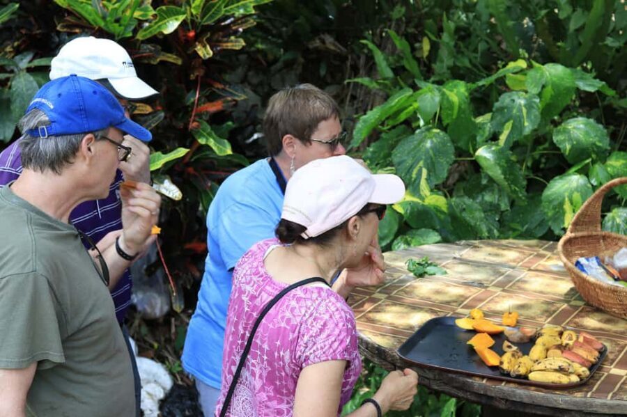 Taste of Jamaica Farm & Food Tour - The Herbal Garden Walk: Labels, Naming, and Why It Feels More Real