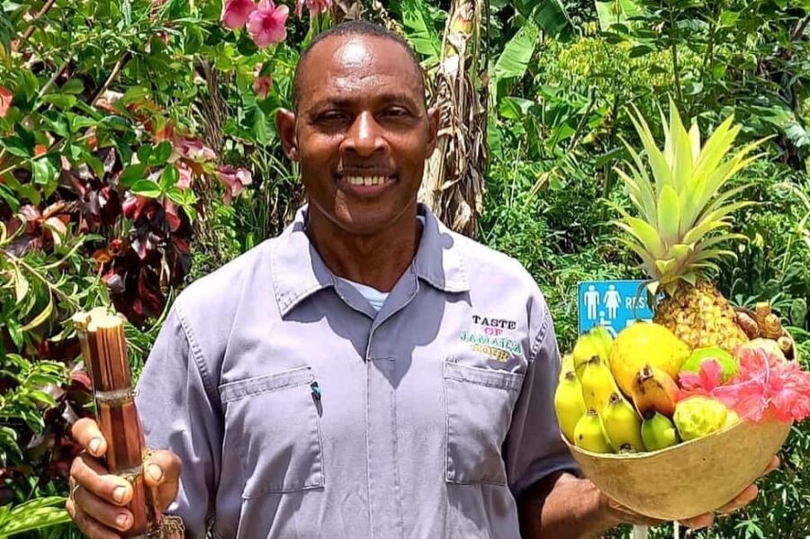 Taste of Jamaica Farm & Food Tour - What’s Included (and Why It Matters for Value)
