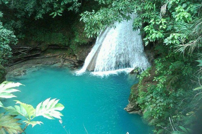 The Best of Dunn's River ,Blue Hole and Tubing from Ocho Rios - Transportation and On-Trip Guidance: More Than Just Driving