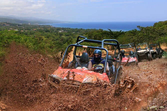 Wet n Dirty ATV Outback Adventure From Ocho Rios - Coconut climbing and fruit samples with medicinal stories